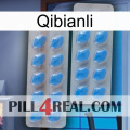 Qibianli 23